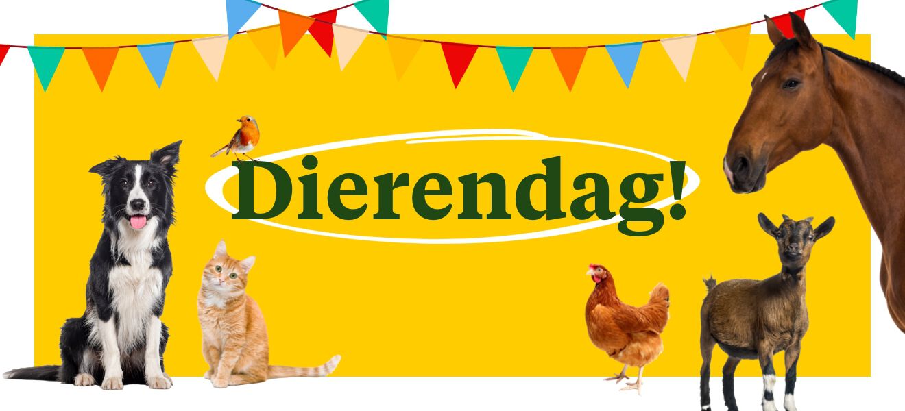 keuzekorting standaard banner